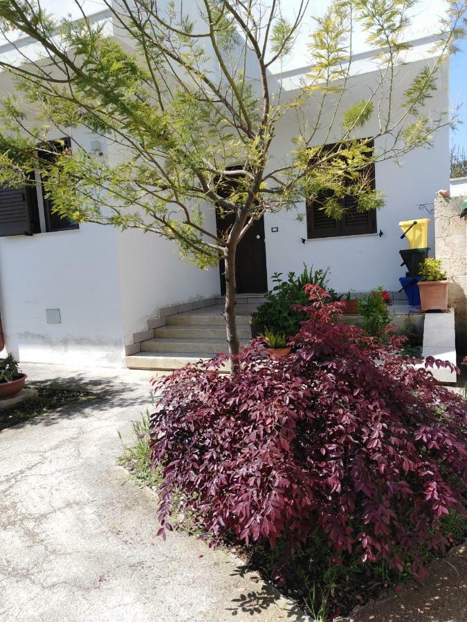 Casa Alessandra Surbo المظهر الخارجي الصورة